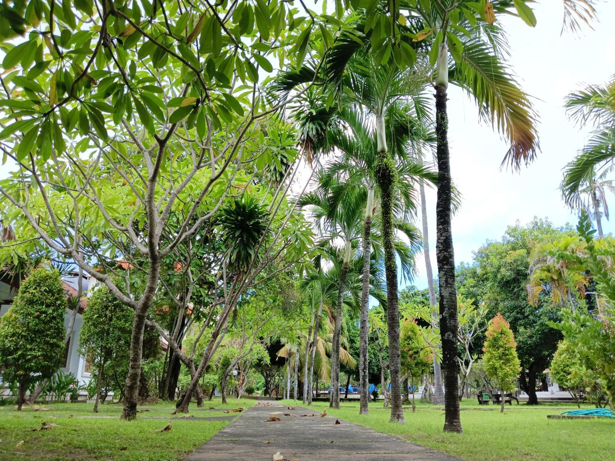 New Mekar Jaya Hotel Legian Kültér fotó